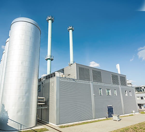 Cogeneration and Electric Utilities